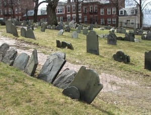 photography of cemetery at daytime thumbnail