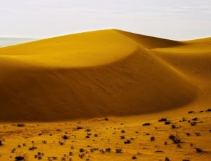 sandy desert at daytime thumbnail