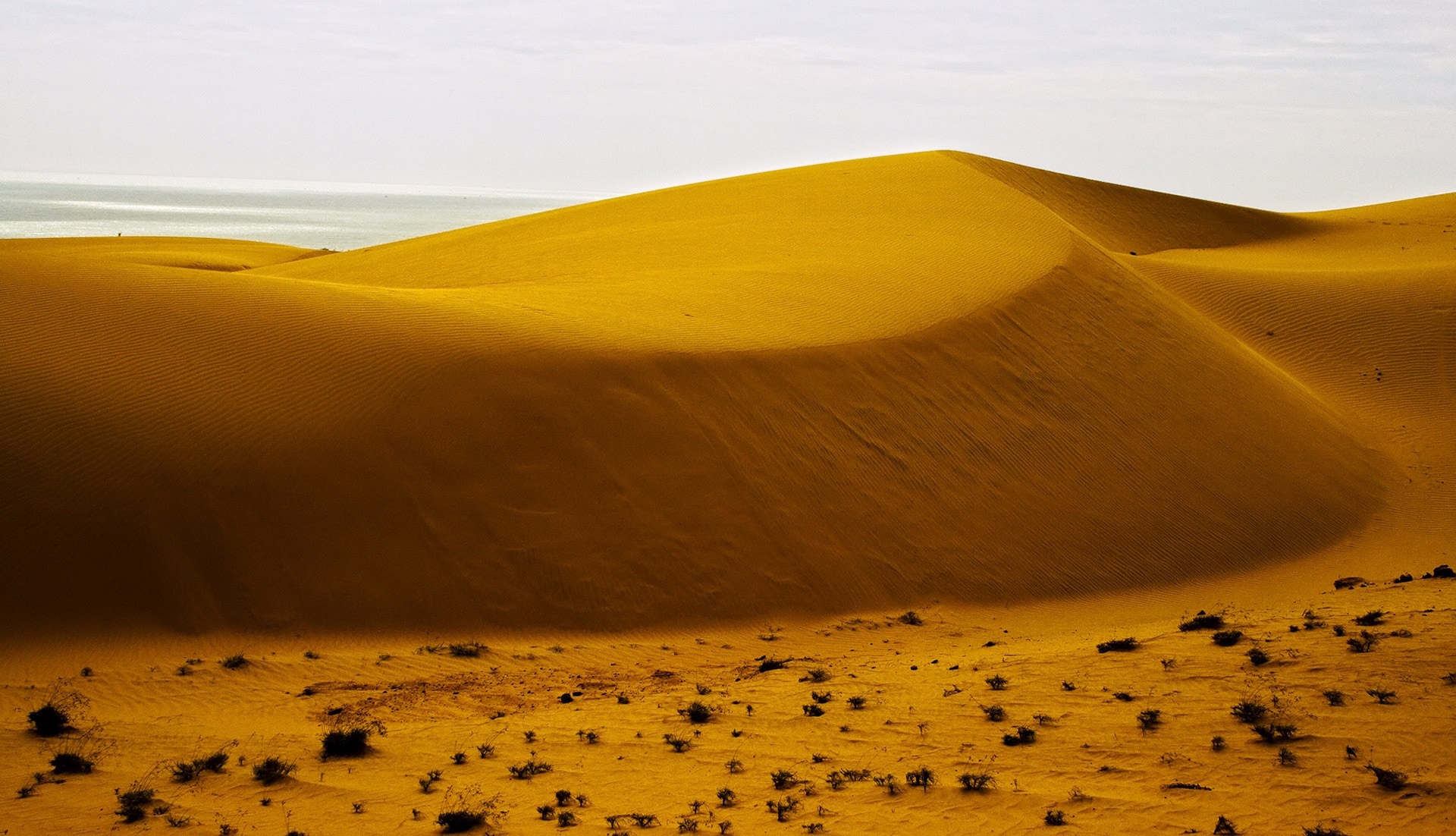 sandy desert at daytime
