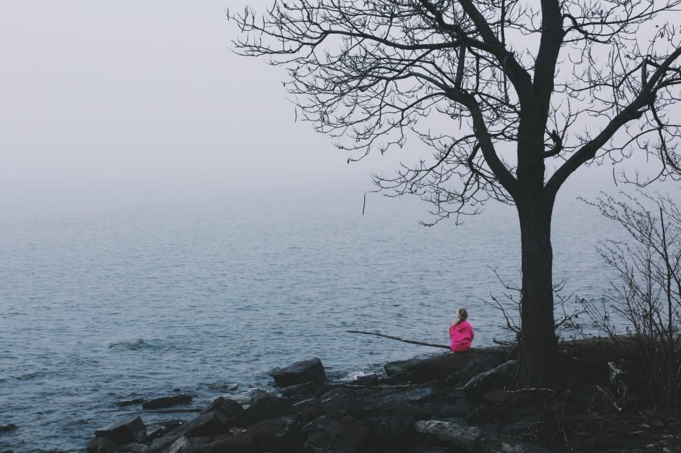 woman in pink jacket near body of water preview
