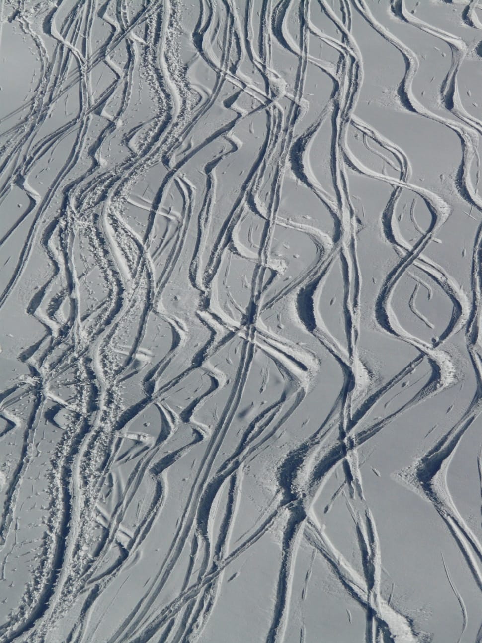 snow ski tracks preview