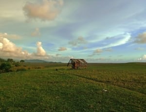 wooden house one green grass field under blue sky at daytime thumbnail