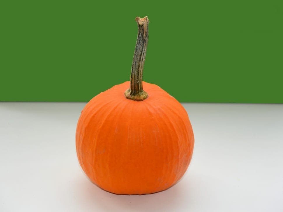 orange pumpkin preview