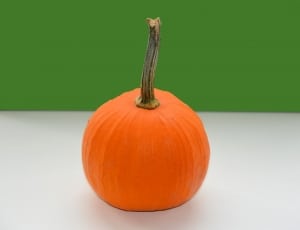 orange pumpkin thumbnail
