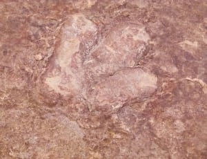brown stone thumbnail
