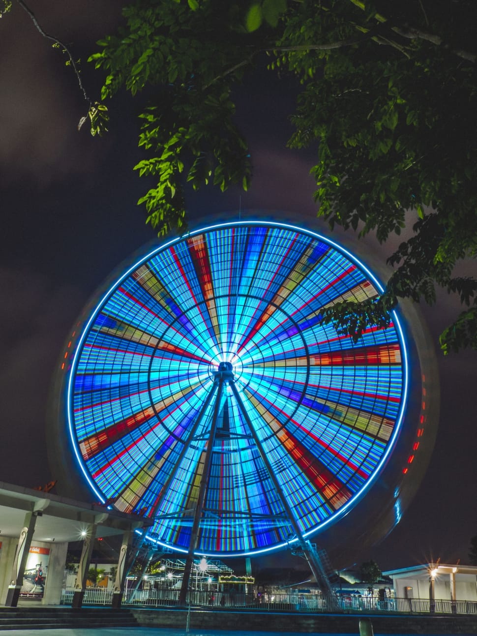 blue ferris wheel during nighttime preview