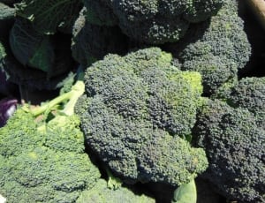 broccoli vegetables thumbnail