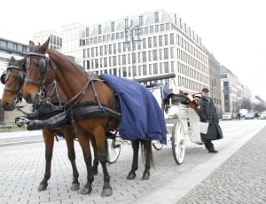 man leaning on horse carriage thumbnail