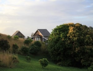 two brown houses beside the trees during day time thumbnail