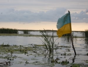 body of water with flag thumbnail