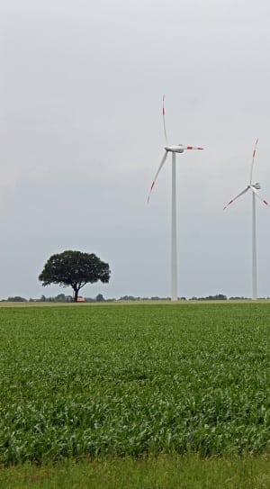 2 white and red wind mills thumbnail