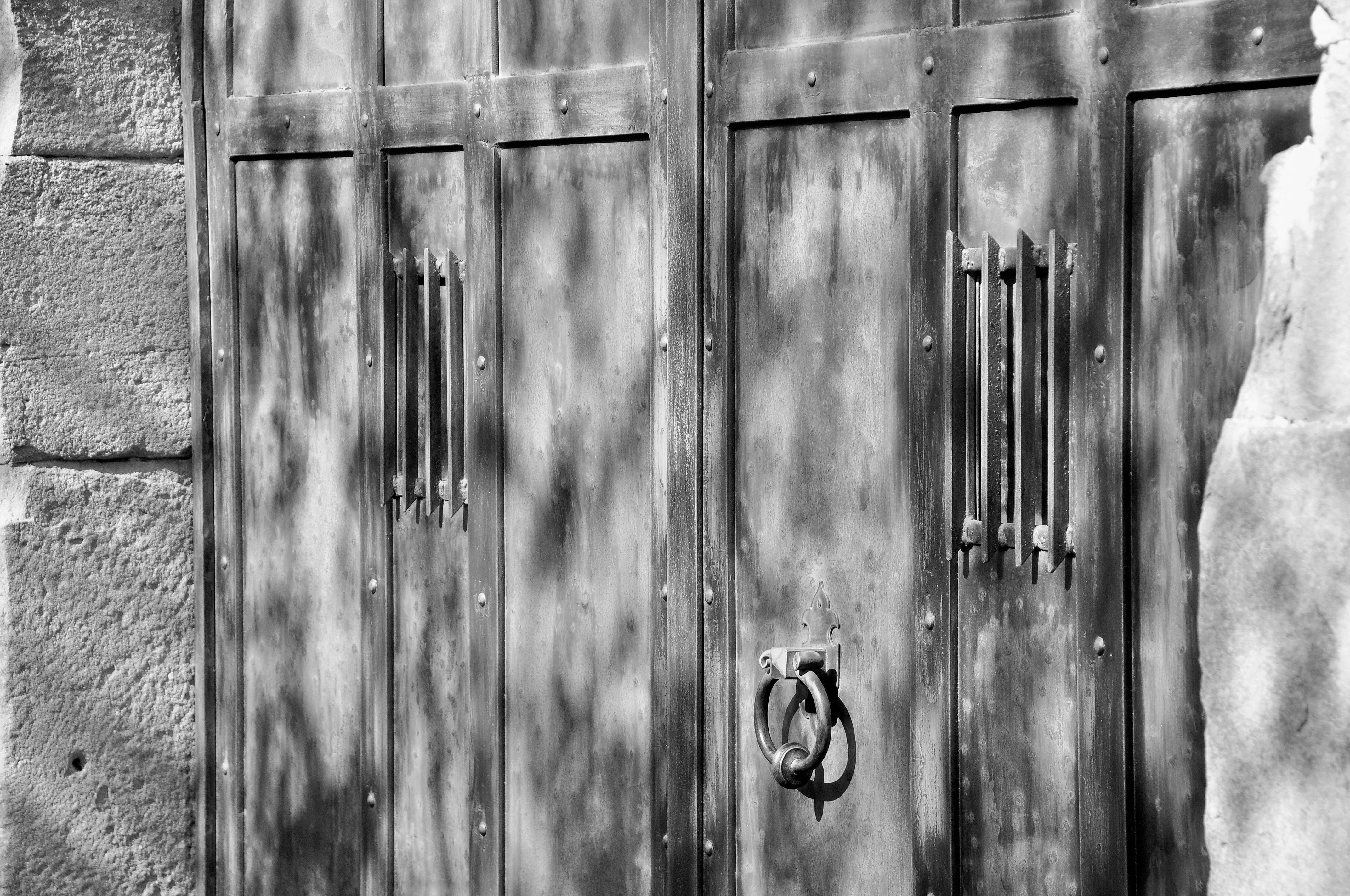 gray wooden castle door