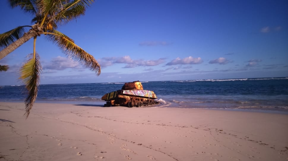 coconut tree preview