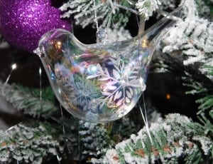 clear glass bird christmas decor thumbnail