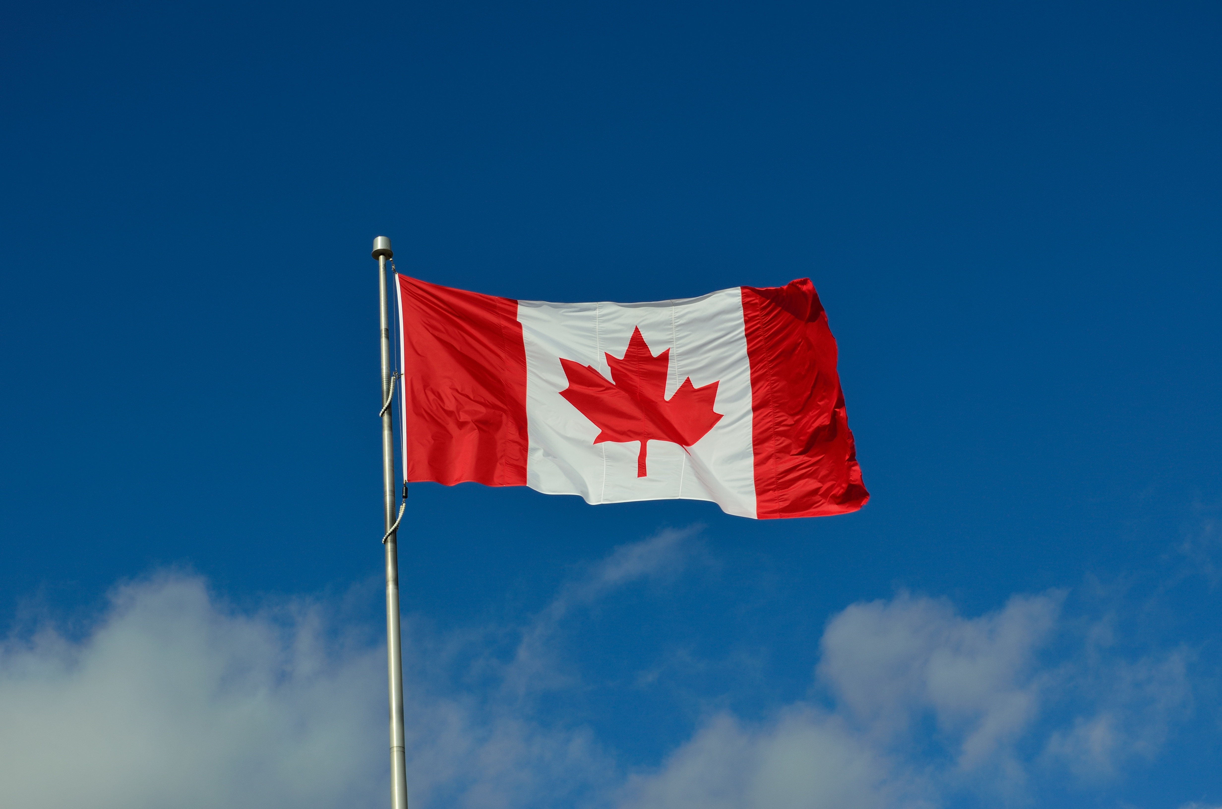 2560x1440 wallpaper | canada flag | Peakpx