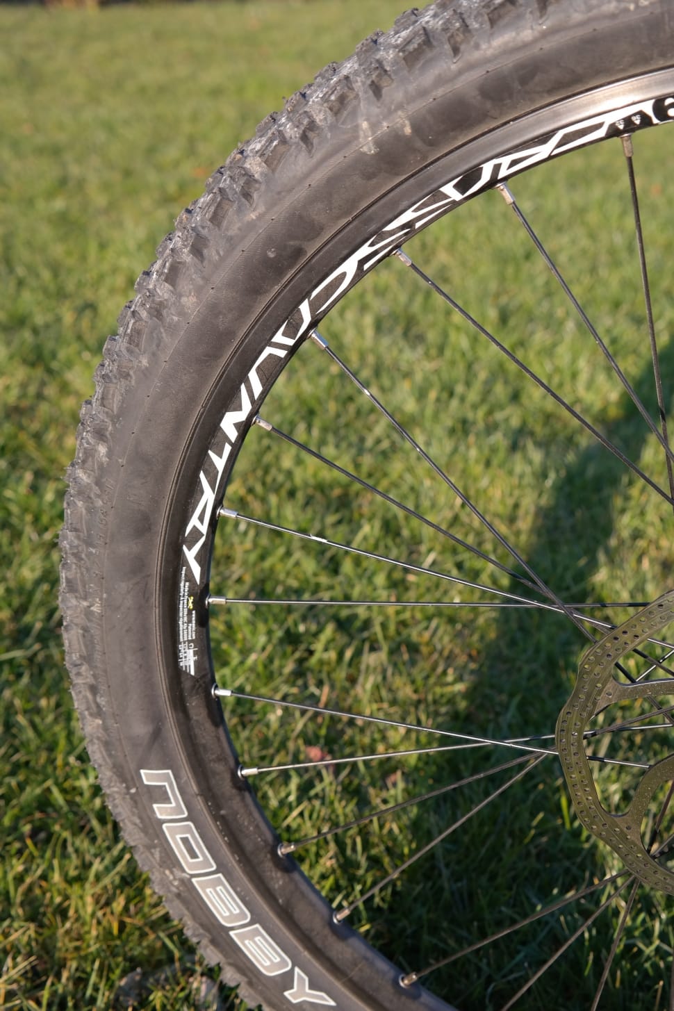 bicycle rim with tire preview
