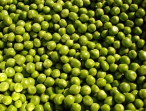 stack of green peas thumbnail