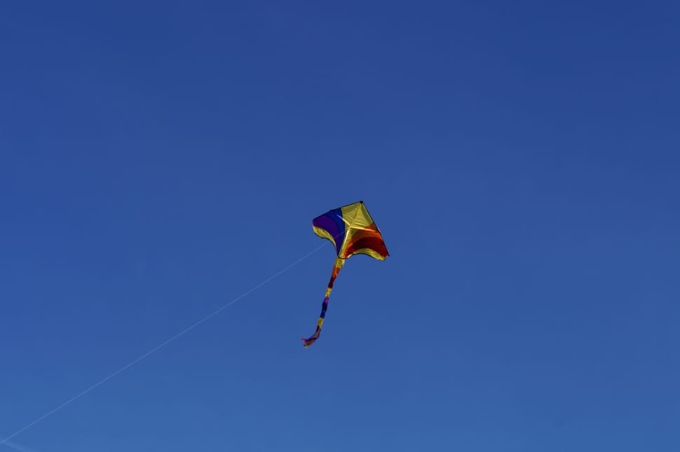 low angle photo of kite on flight preview