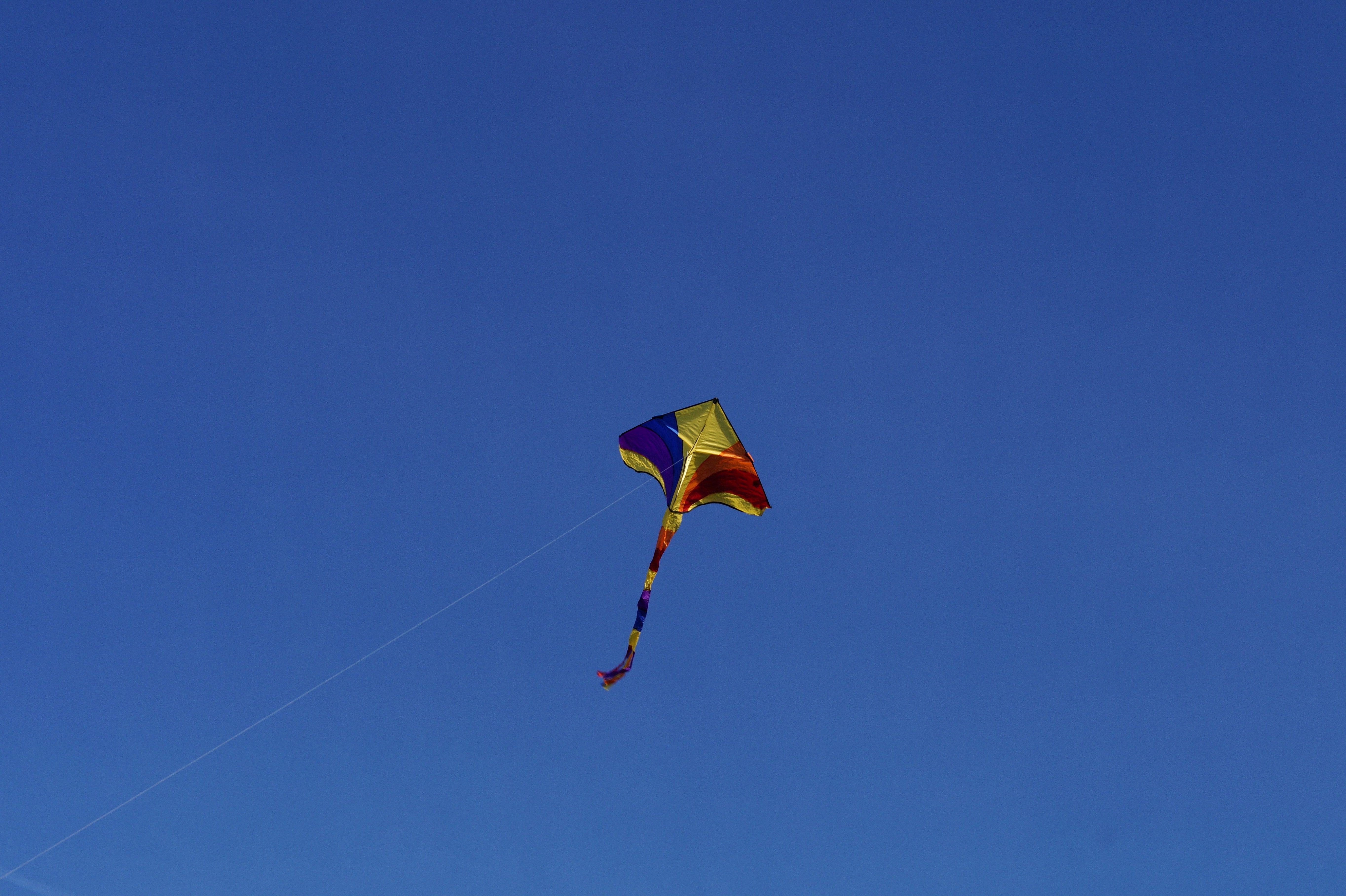 low angle photo of kite on flight