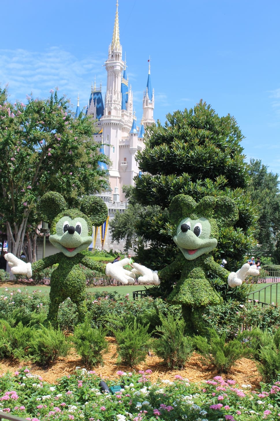 green mickey and minnie mouse print plants preview
