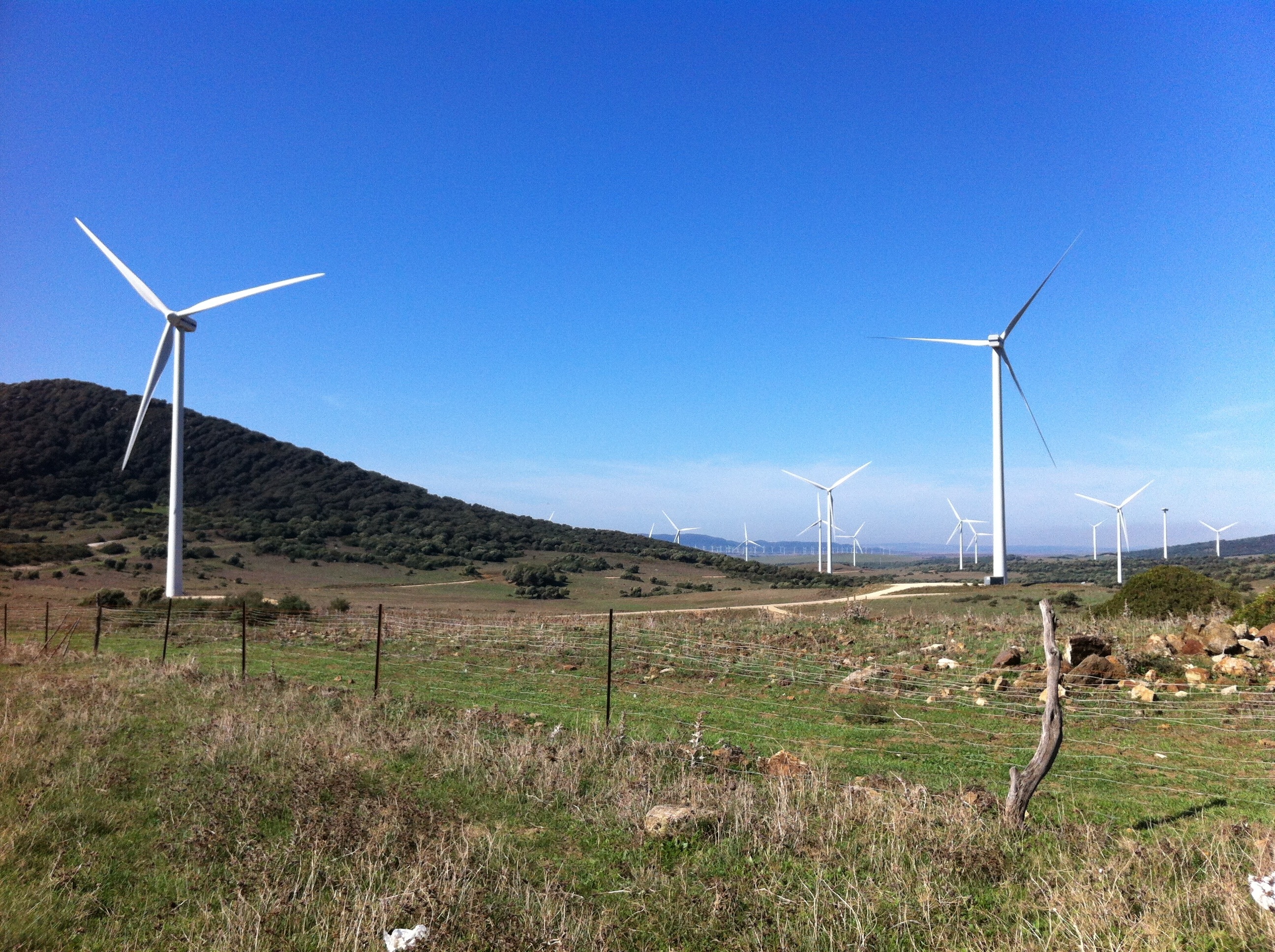 windmill plantation