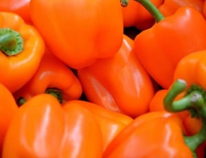 orange bell pepper thumbnail