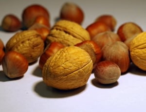 walnut and chestnut thumbnail