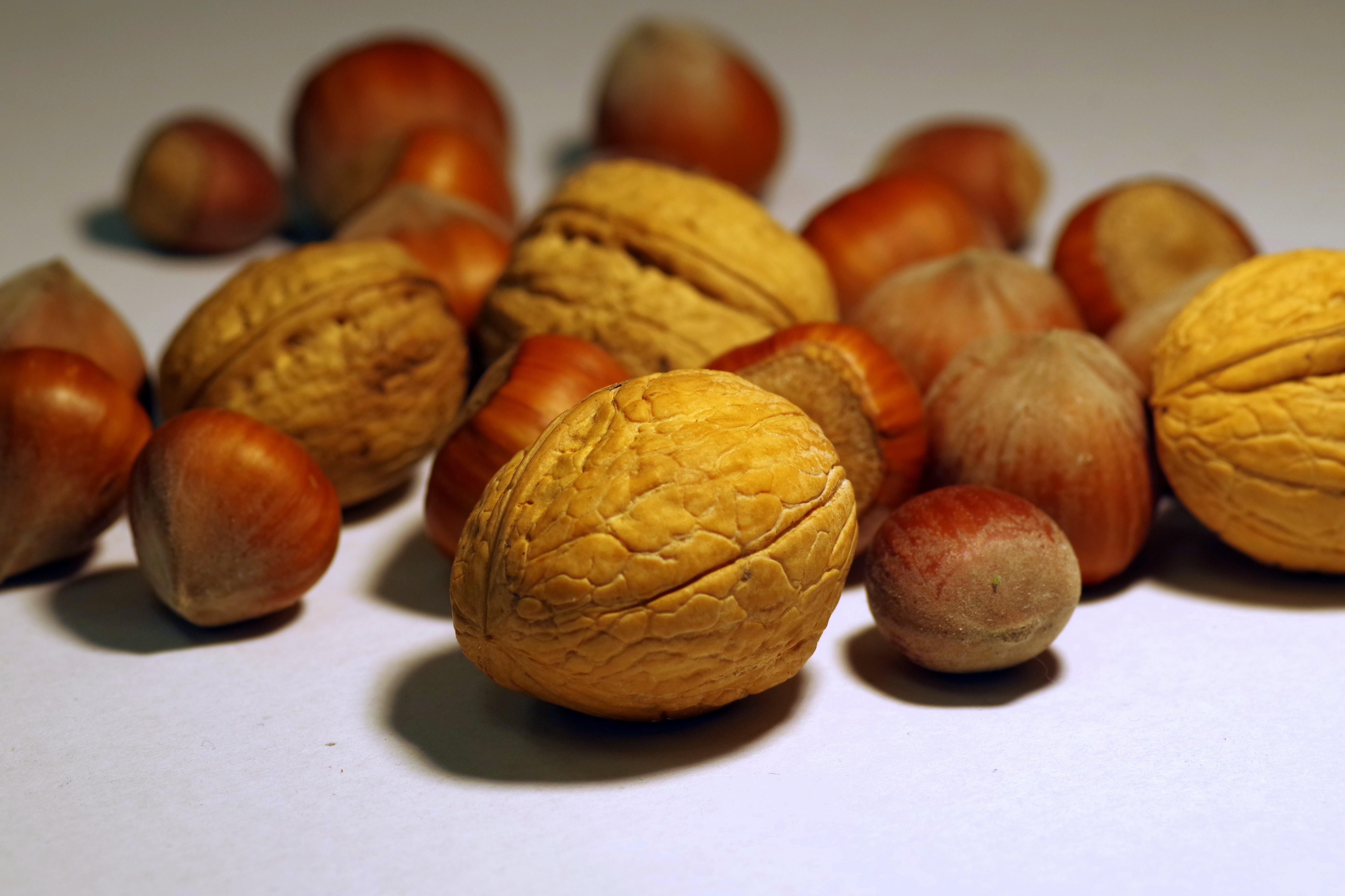 walnut and chestnut