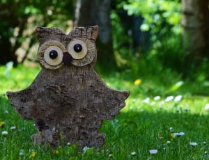 brown owl decor thumbnail