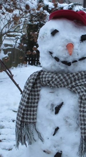 snowman red cap and gray scarf thumbnail