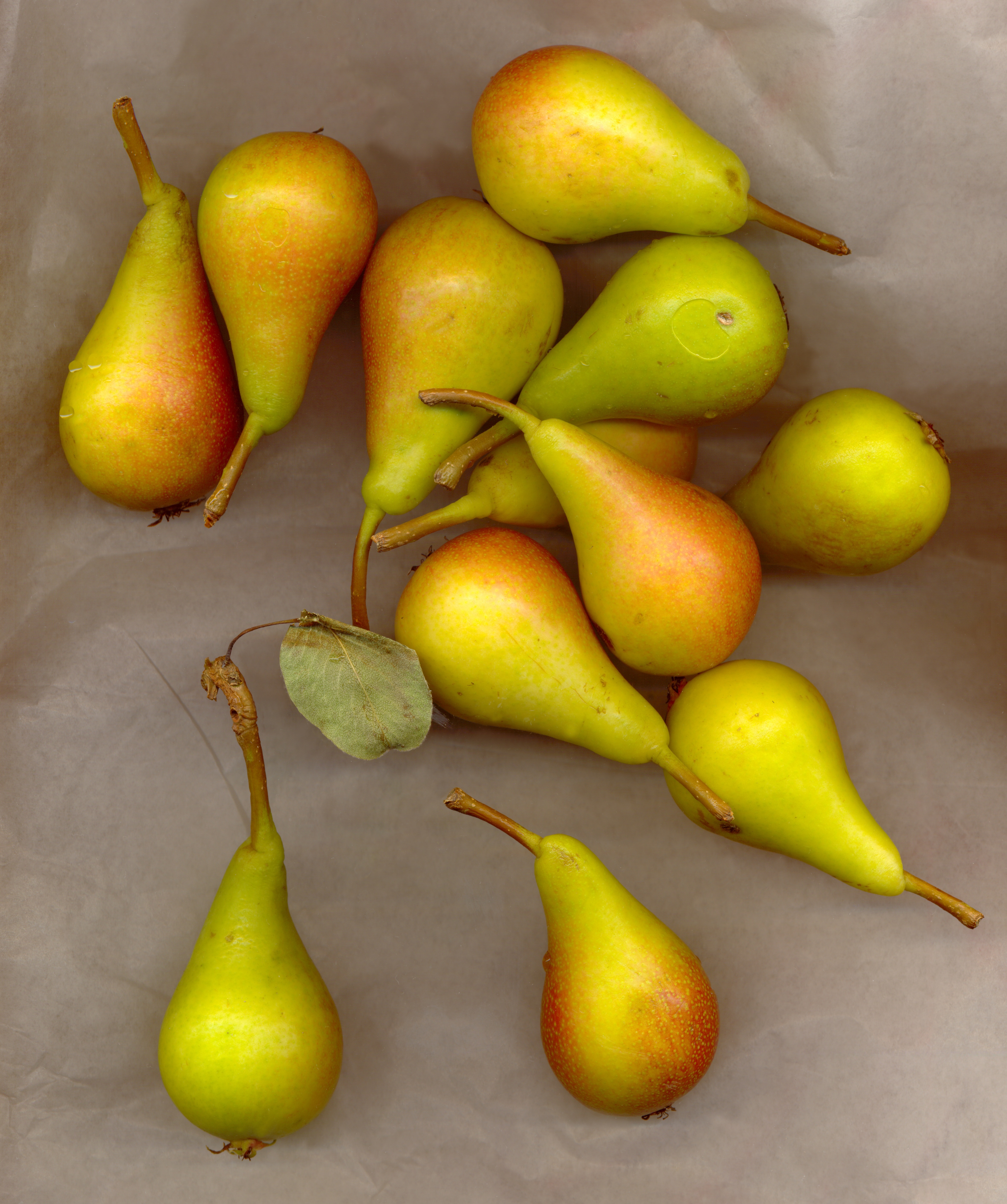 beige and orange pears