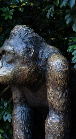 black and brown gorilla concrete statue thumbnail