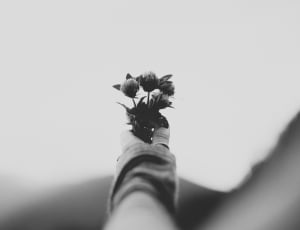 greyscale photography of person holding flowers thumbnail