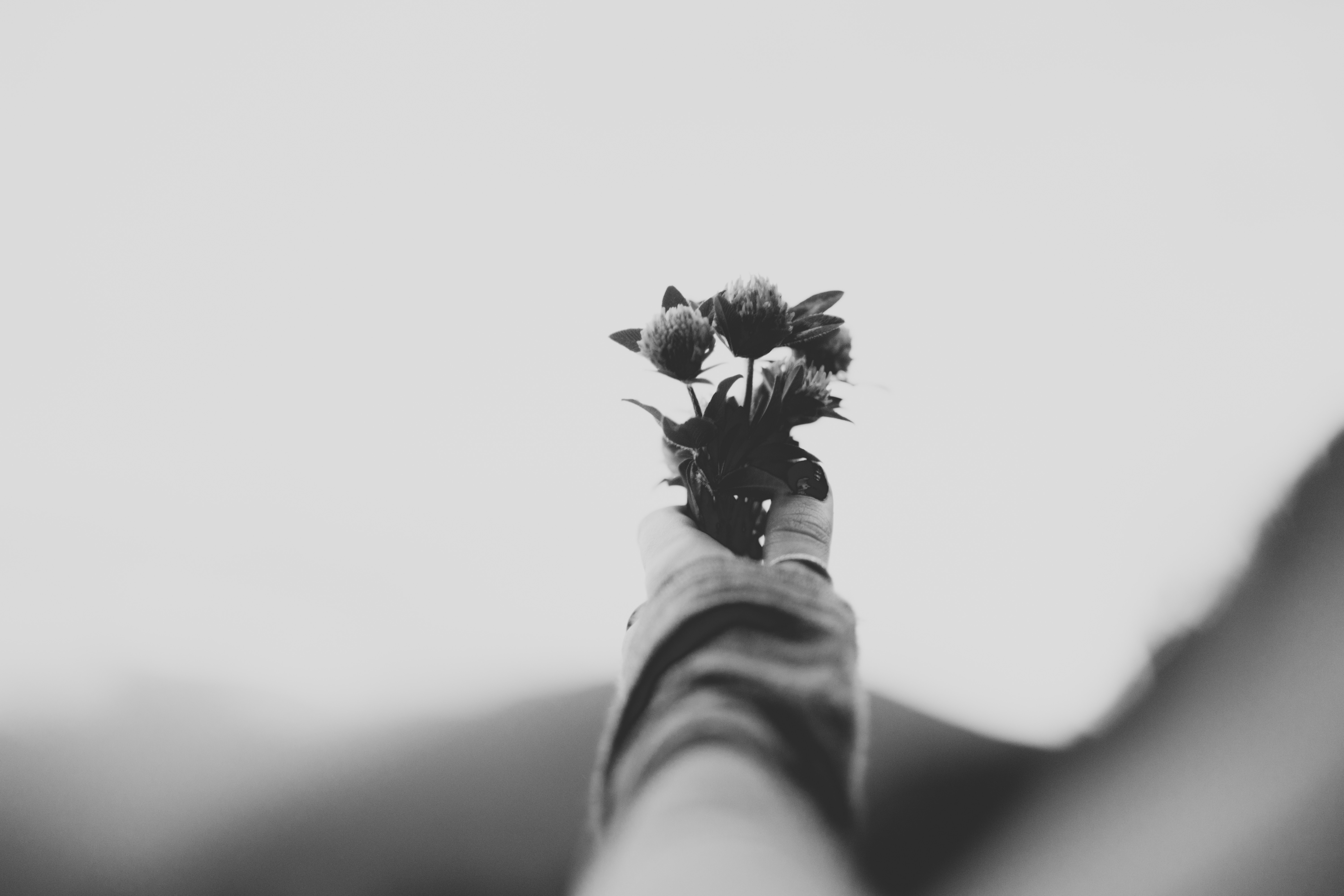 greyscale photography of person holding flowers