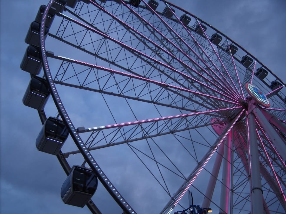 pink white and black ferris wheel preview