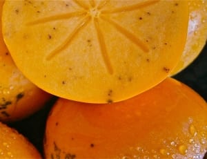 orange melon thumbnail