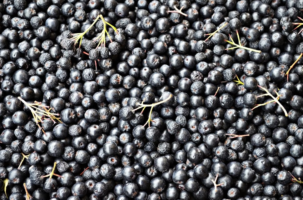 black small round fruit lot preview
