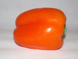 orange tomato thumbnail