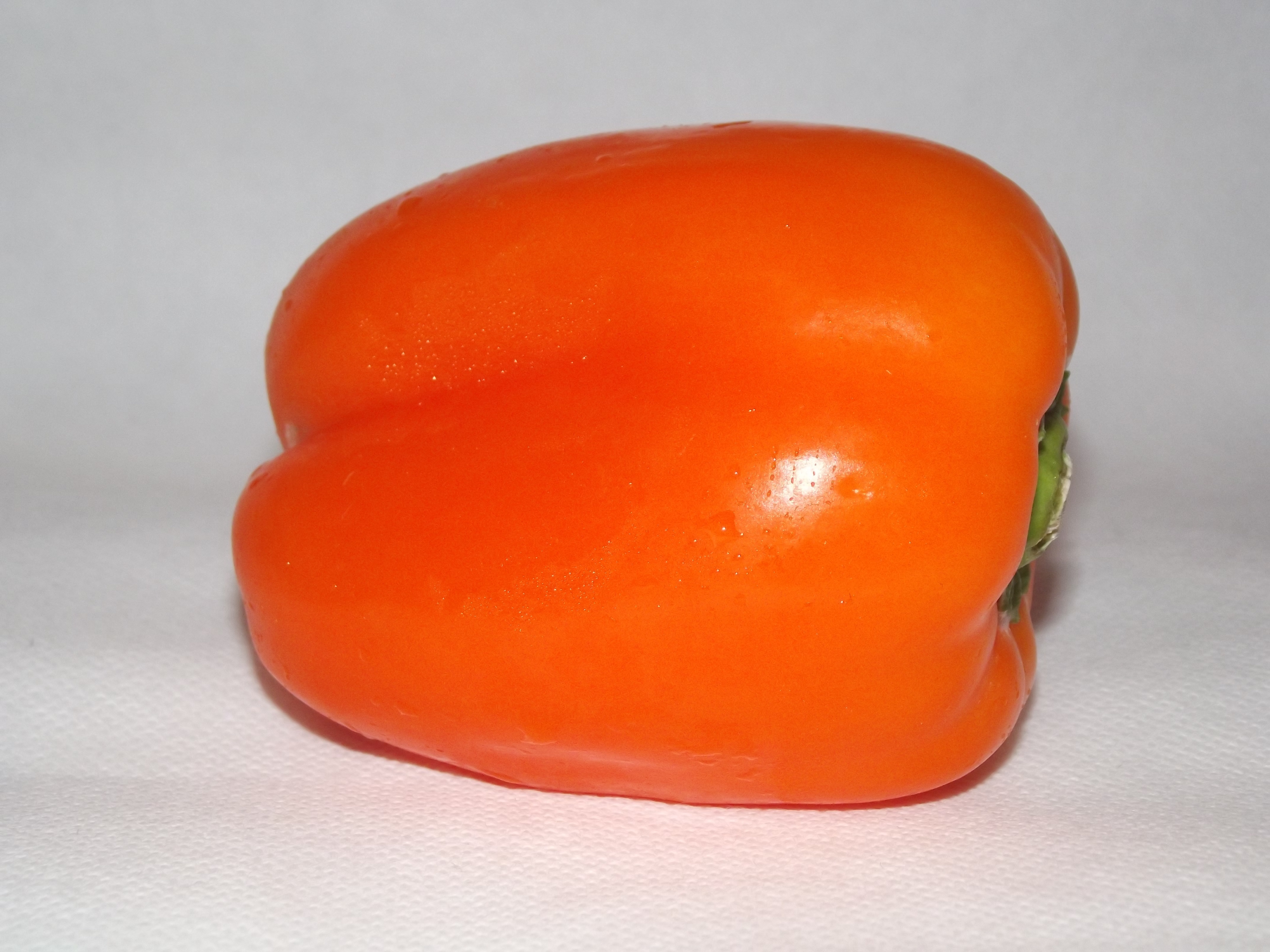 orange tomato