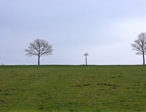 black cross post and 2 trees thumbnail