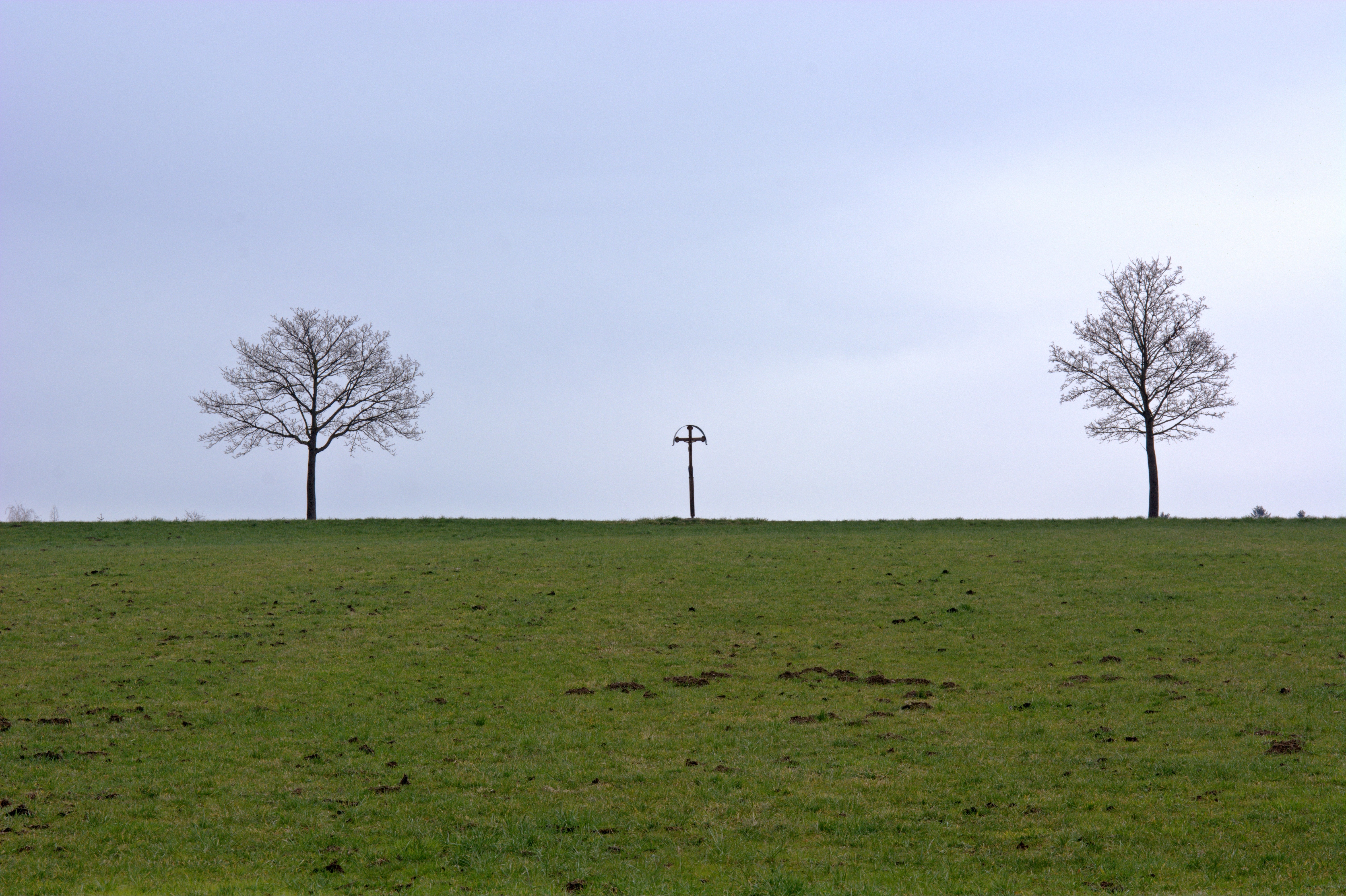 black cross post and 2 trees