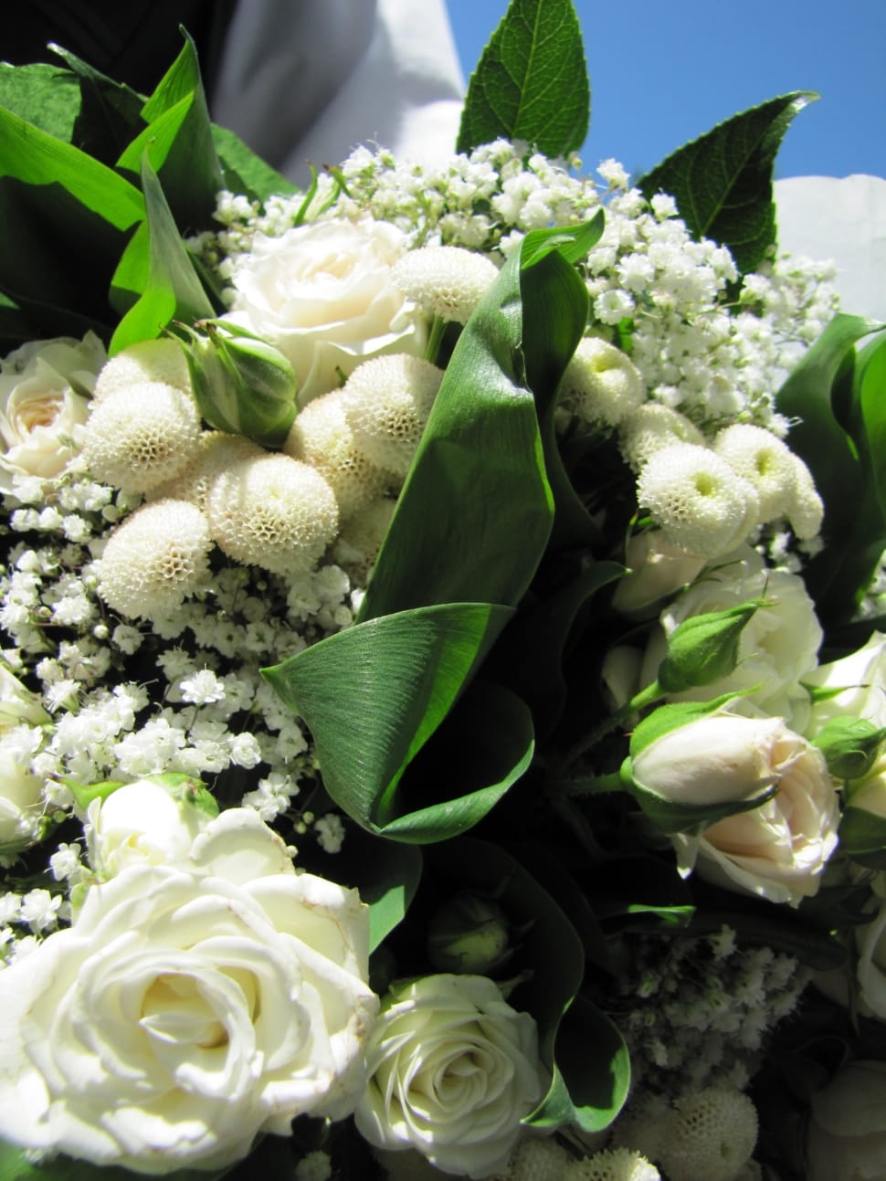 white rose, white baby's breath, white mums flower arrangement preview