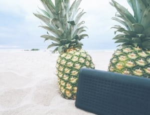 2 pineapples and black nixon portable speaker thumbnail