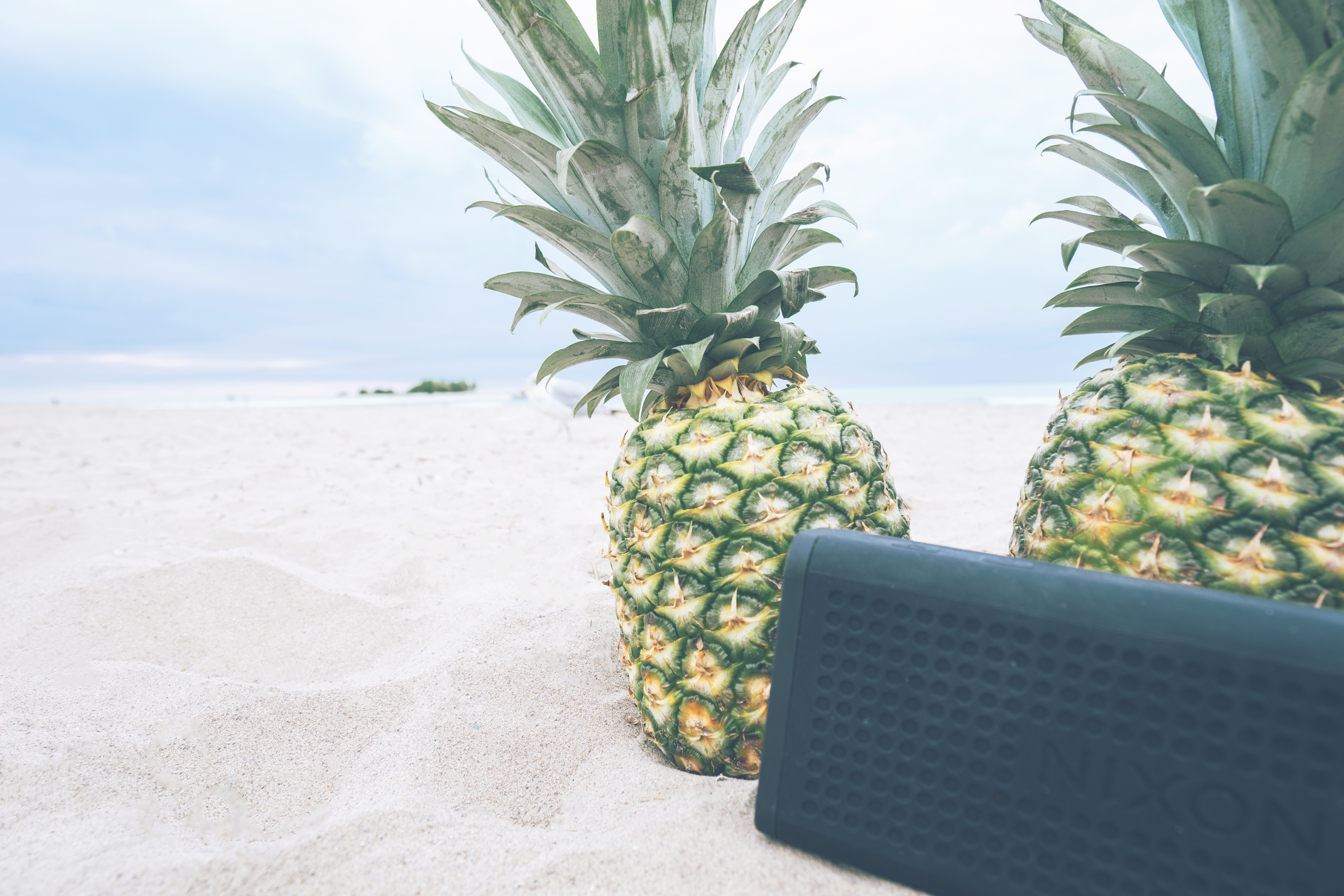 2 pineapples and black nixon portable speaker