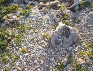 aerial photo of rock formation thumbnail