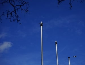 white steel pole tower thumbnail