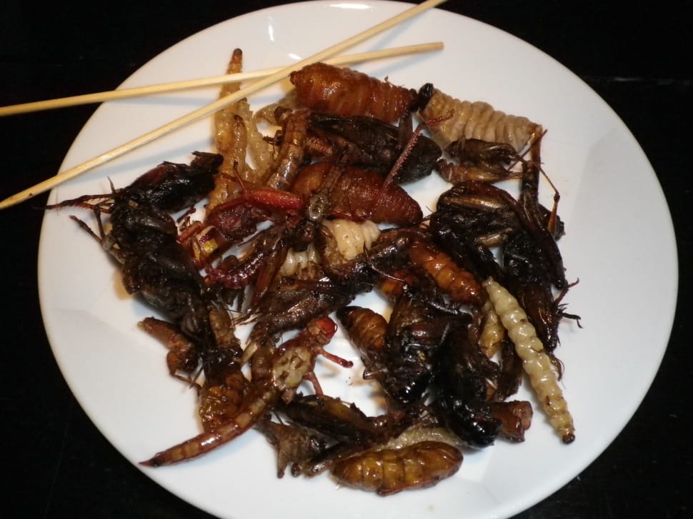 fried insects with chopsticks preview