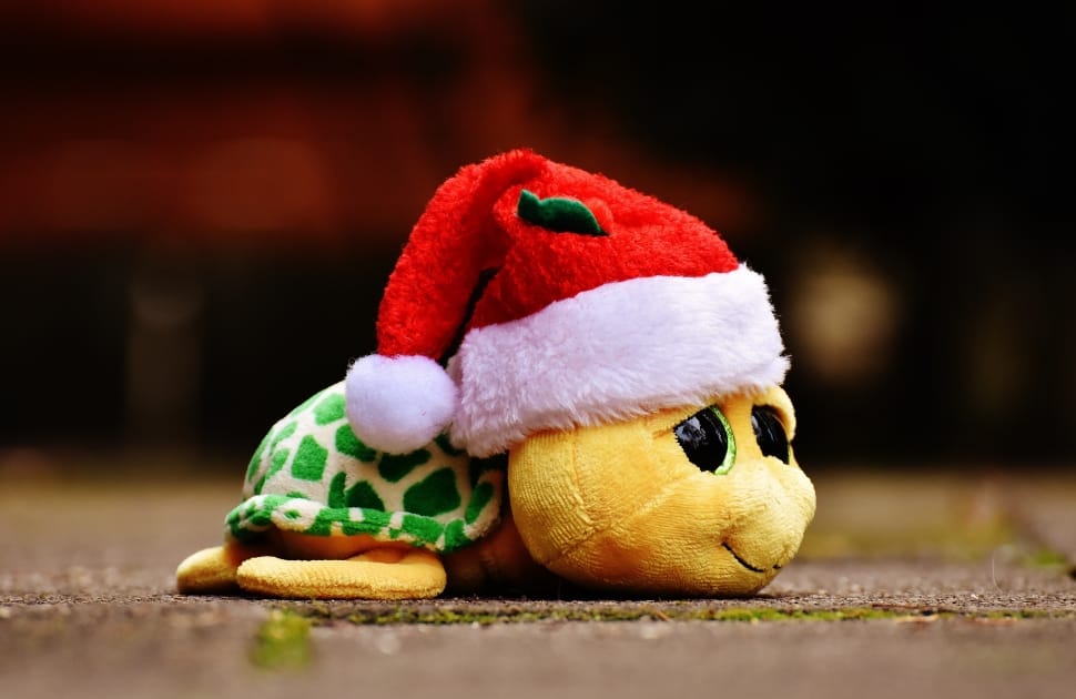 turtle wearing a santa hat plush toy preview