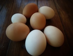 4 white and 3 brown eggs thumbnail