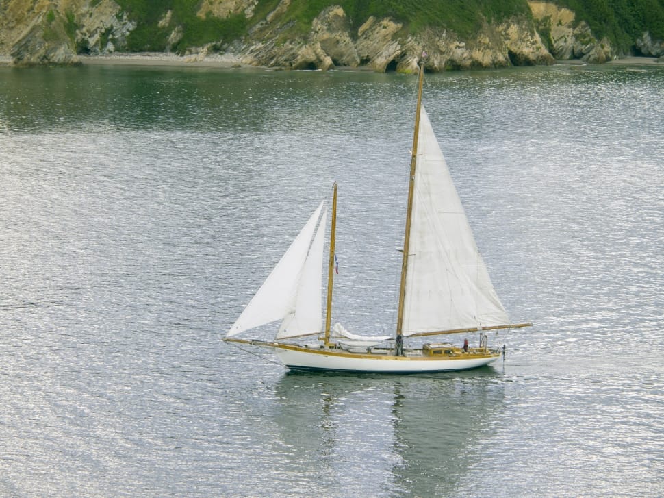 white and brown sail boat preview